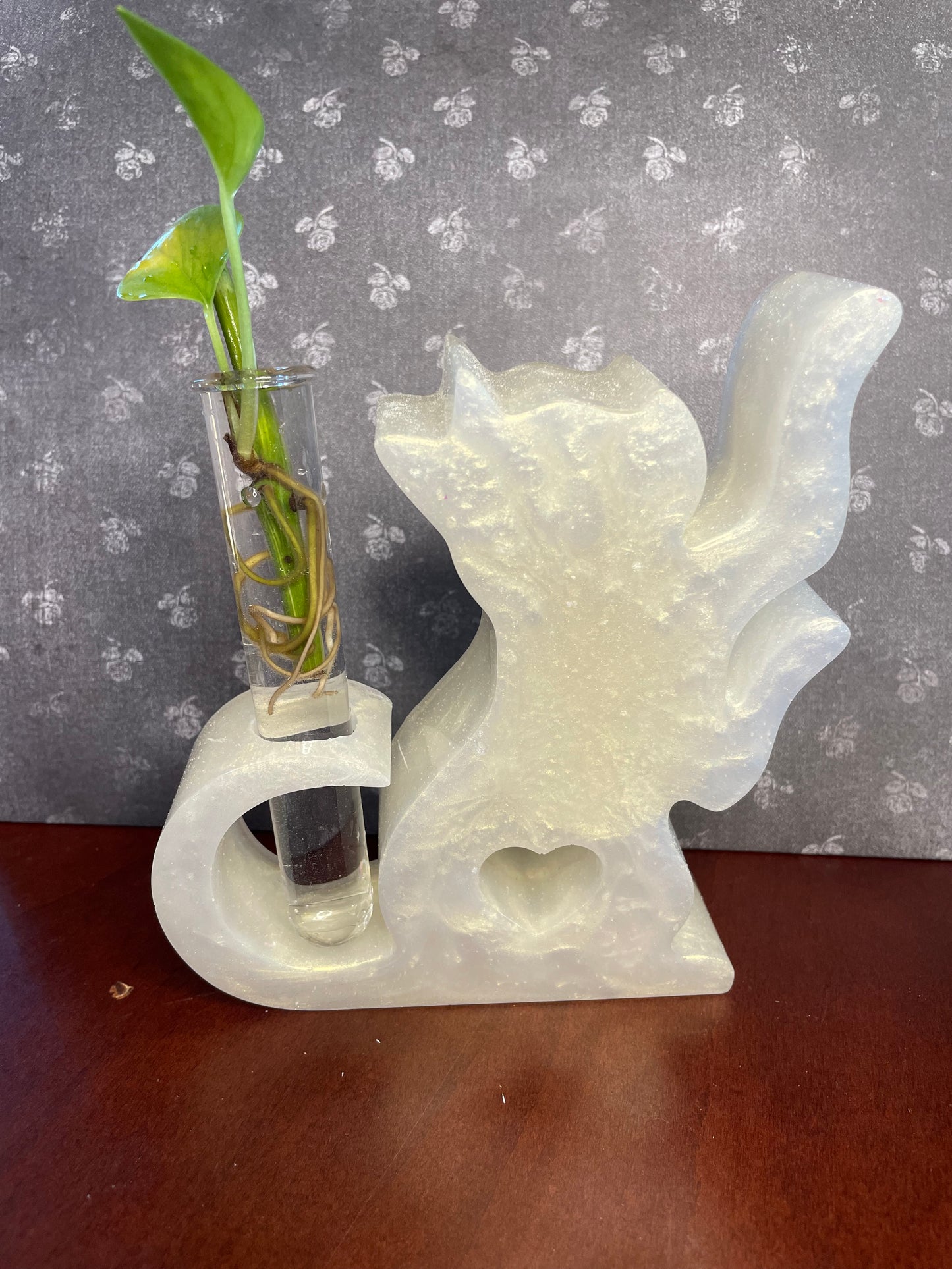 Plant Propagation Holder