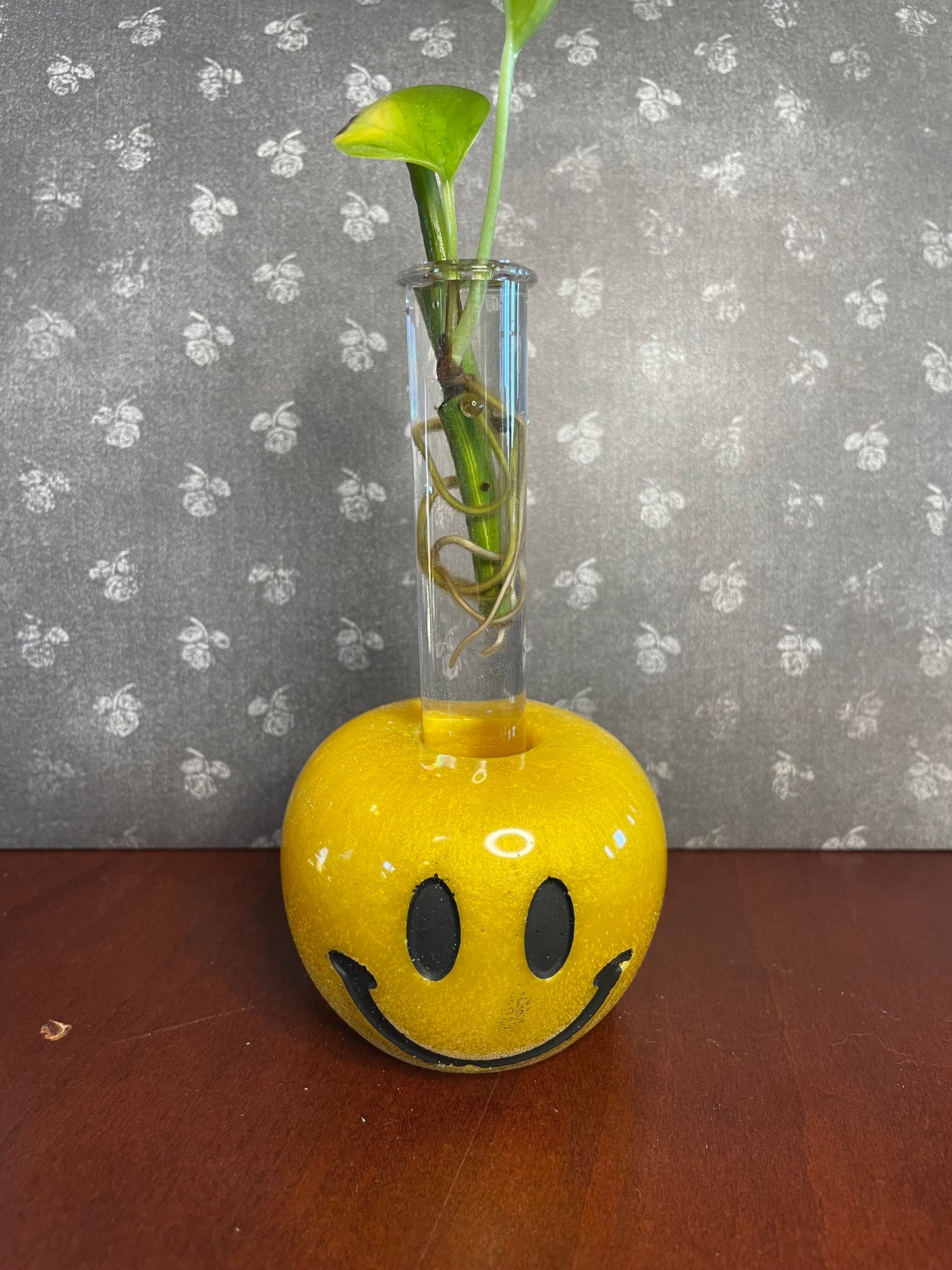 Plant Propagation Holder