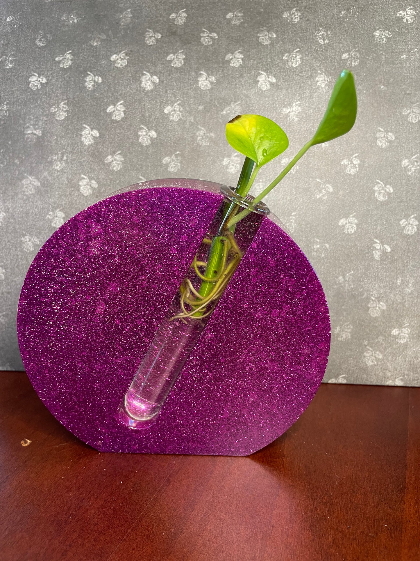 Plant Propagation Holder