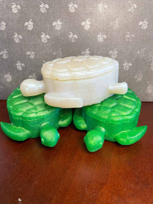Turtle Jar